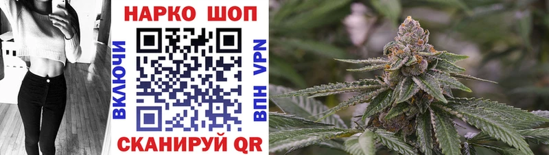 МЕФ Ессентуки