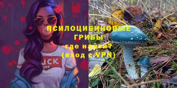 стаф Вязники