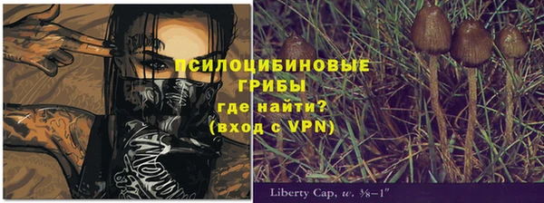 jwh Вязьма