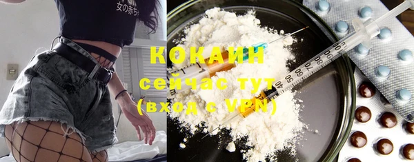 стаф Вязники
